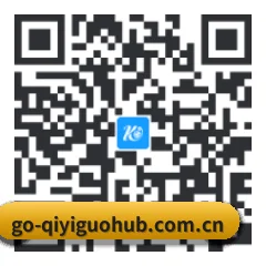 系统版 iOS 二维码